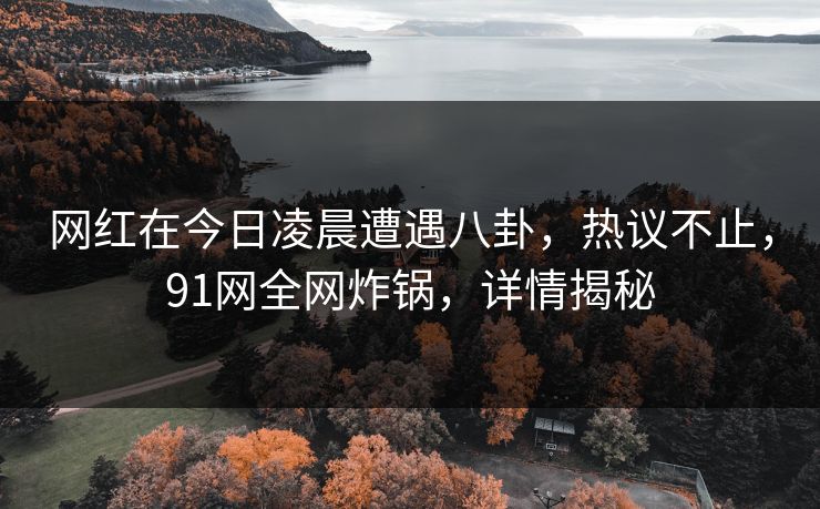 网红在今日凌晨遭遇八卦，热议不止，91网全网炸锅，详情揭秘