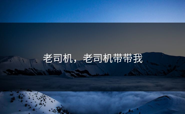 老司机，老司机带带我